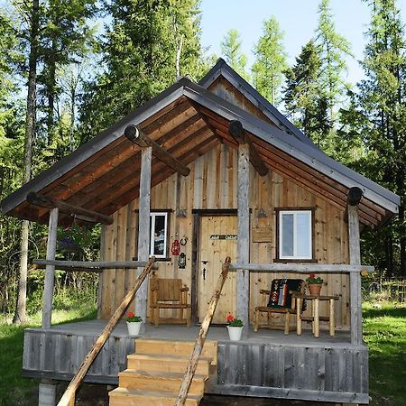 Bull Hill Guest Ranch Hotel Marble Pokój zdjęcie